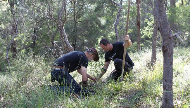 Centor staff giving back by planting trees for every Integrated Door manufactured